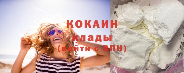 тгк Алзамай