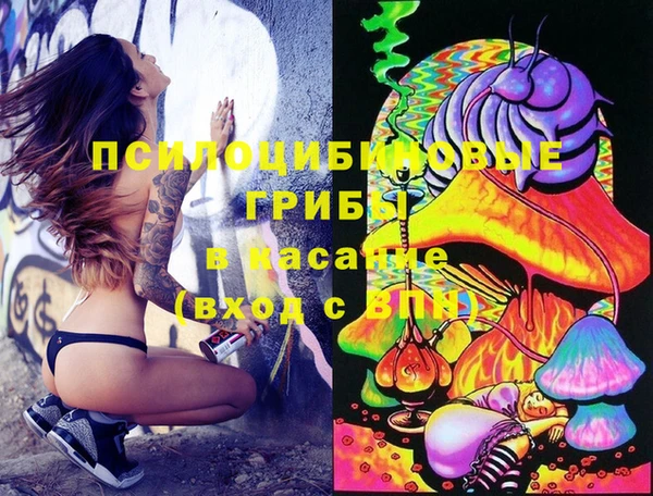 круглые Алексин