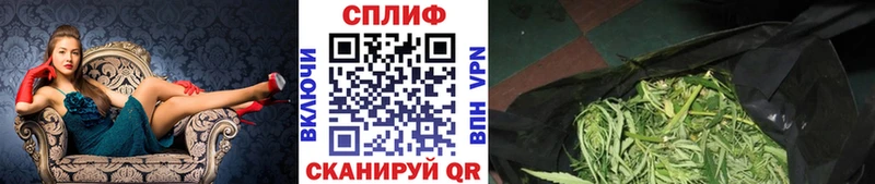 Марихуана план  shop официальный сайт  Беслан 